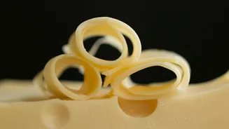 Queijo zero lactose: descubra como incluir essa opção leve em todas as suas refeições