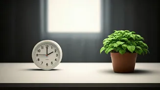 Office Workers Can Start With Five Minutes