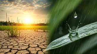 National Rainfall Deficit Touches 46% As Mumbai Gets Showers