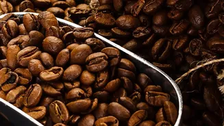 Modern Artisanal Mukhwas Brands Focus On Roasted Seeds And Pure Extracts For Urban Consumers