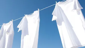Shared Homes Need Fewer Washes When Wet Clothes Cannot Dry
