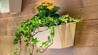 Prevent Overwatering In Apartment Balcony Gardens With Modular Vertical Protection Panels
