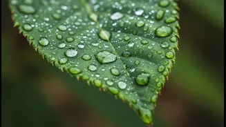 This Season's Monsoon Skincare Reminder: Why Careful Planning Matters Now