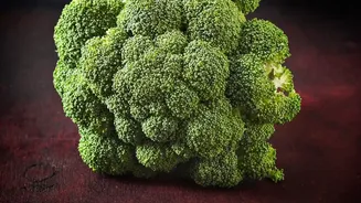 How To Boost Daily Mood And Focus Using Gut-Brain Axis Fiber