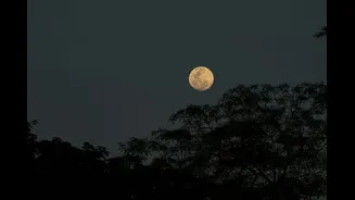 When Is Adik Maas Purnima In May 2026? Know Correct Date, Auspicious Muhurat, Vrat Katha And More