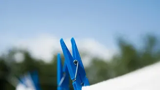 Shared Homes Need a Backup Plan When Outdoor Drying Fails