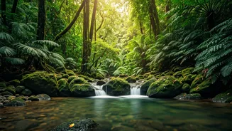 Goa Gears Up for Eco-Tourism: A Sustainable Future for the Sunshine State