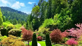 The Design Lesson From The Low-Water Gardening Shift: Designing Gardens For Lower Water Demand