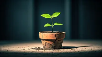 Financial Independence Is Not Simple For New Earners
