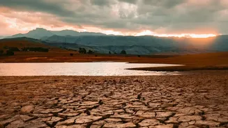 Monsoon Weakness Could Create New Food Price Pressures