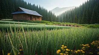 Himachal Pradesh Remote Farm Stays Capture Budget Travel Spikes