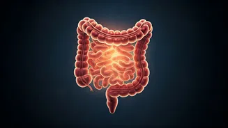 Walk Your Way to Better Health: How 30 Minutes Daily at 35 Transforms Your Body by 40