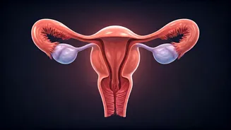 PCOS Renamed PMOS: Understanding the New Name, Its Implications, and Why It Matters