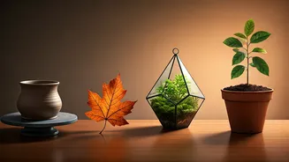 Uncover Your Current Life Stage: A Quick Personality Test Based on Object Choice