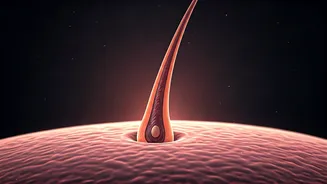 Beyond the Hype: Unveiling a Rare, Unforeseen Complication in Hair Transplants