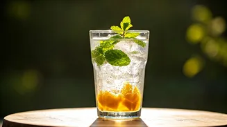 Refresh Afternoons With Sparkling Mint Raw Mango Soda Daily