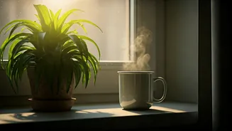 The Secret Behind Better Morning Energy