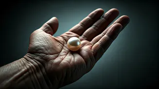 The Motherhood Manual: Life's Greatest Teacher Without a Book