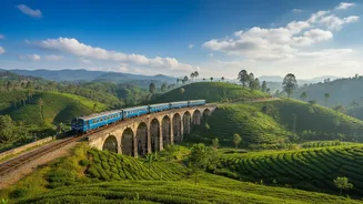 How Indian Tourists Experience Sri Lanka Top Kandy To Ella Train Route