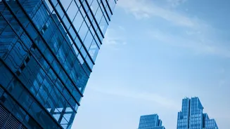 Startup IPO Guide: How To Read A Draft Red Herring Prospectus