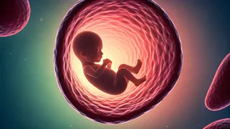 Related Stories banner