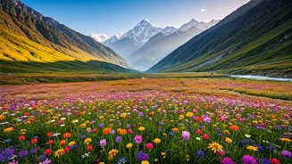 Trek To Breathtaking High Altitude Valley Open In Uttarakhand