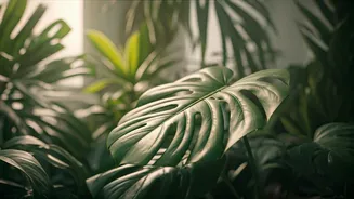 Pest-Free Plants Are The New Indoor Decor Fantasy