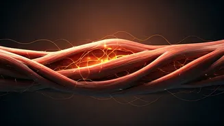 Beyond Strength: How Muscle Loss Impacts Metabolism, Glucose, and Lifespan