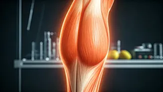 Unlock Longevity Secrets: Your Calf Size Could Predict Lifespan, Says Neurologist