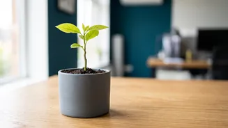 Start saving early for wealth
