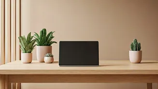Why Warm Minimalism Appeals Deeply To Mindful Tech Founders Interiors
