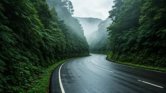 Misty Western Ghats Hairpin Drives Are Absolute Monsoon Goals