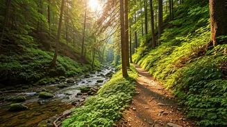 Budget-Friendly Nature Trips Are The New Travel Flex