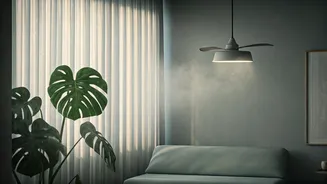 Stay Fresh Despite High Humidity Levels