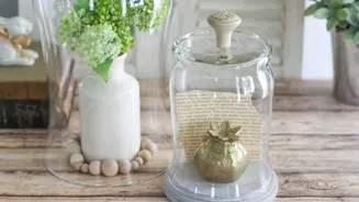 Use glass cloches for that much-awaited home decor makeover