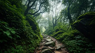 Western Ghats Are Cinematic, Not Always Easy