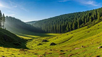 Experience Untouched Nature Inside Peaceful Quiet Green Valleys Of Vagamon