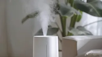How To Ventilate Rooms When Rain And Humidity Are High