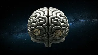 50 Life Lessons for a Better You