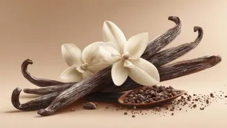 Vanilla for skincare? Here's how it works