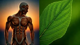 Ankur Warikoo's Fitness Revelation: A Coach's Insight into Sustainable Transformation