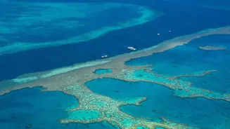 How Island Eco-Tourism Protocols In Lakshadweep Protect Coral Reefs From Plastic Pollution