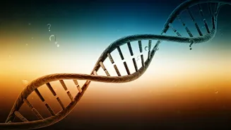 Unveiling Pregnancy Truths: Debunking 6 Common Myths for Expecting Couples