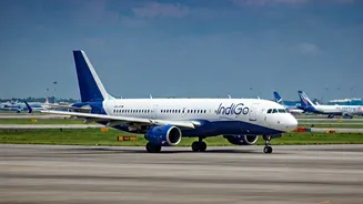 IndiGo Flight Disruptions: Navigating the Cancellations