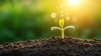 Unlock Your Day: 5 Daily Habits for Lasting Positivity and Motivation