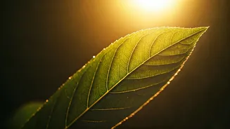 Heat-Aware Fitness Makes Discipline Less Dangerous