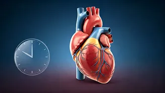 Unlock Better Health: The 3-Hour Dinner Rule for Heart Health and Deeper Sleep