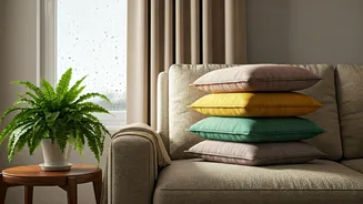 Monsoon Home Reset Does Not Need Renovation