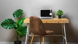 Why Beginner Indoor Plants Need Minimal Care While Dramatically Upgrading Small Work-From-Home Decor