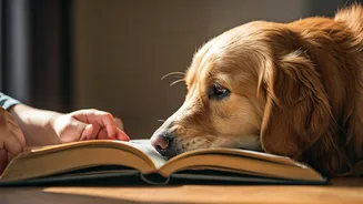 Unlock Reading Confidence: The Power of Pets for Reluctant Readers